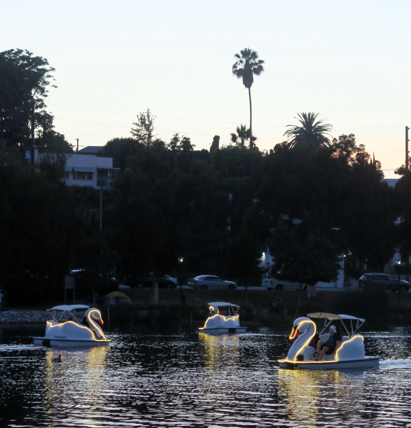 Echo Park Lake Swan Boats with lights 6-22-2019 8-43-24 PM.JPG